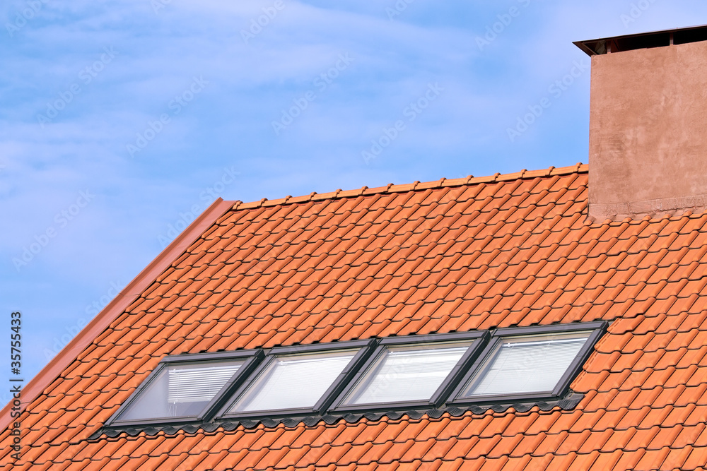 Tiled roof and windows