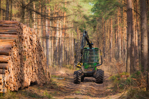 Quadro su tela Rückezug im Wald