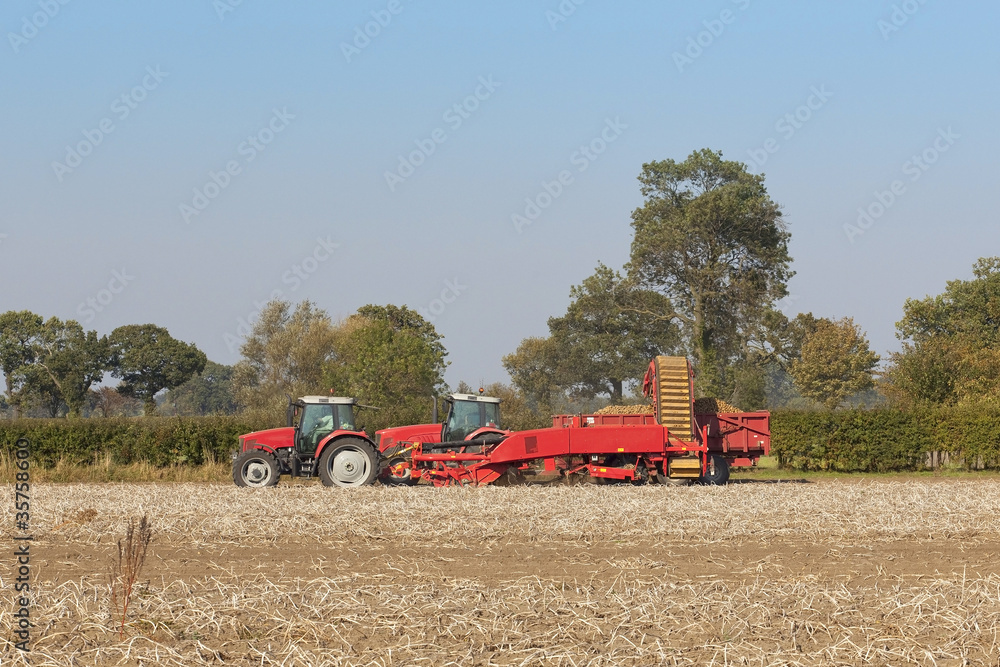 Obraz premium potato harvester