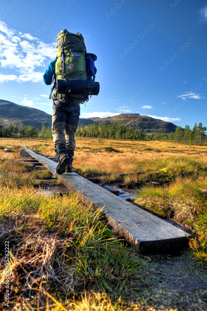 Wanderer mit Rucksack auf dem Weg durch Moorlandschaft Stock-Foto | Adobe  Stock