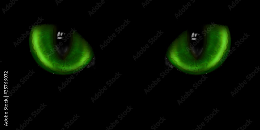 Obraz premium Two green cat eyes
