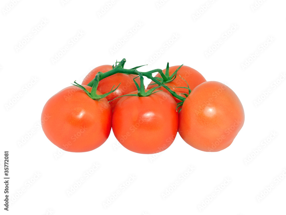 Tomatos 1
