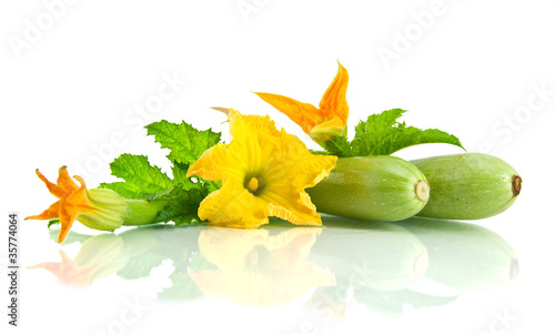 Green zucchini leaves and flower isolated on white