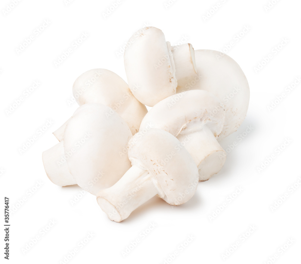 Fototapeta premium champignon