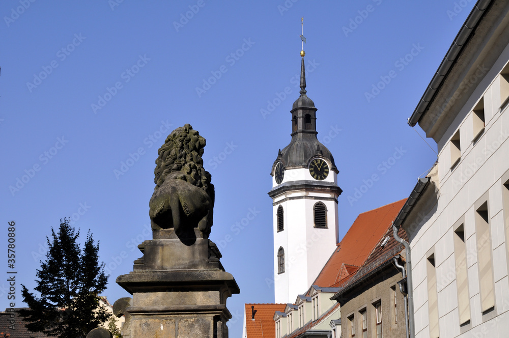 Torgau Löwe und Marienkirche