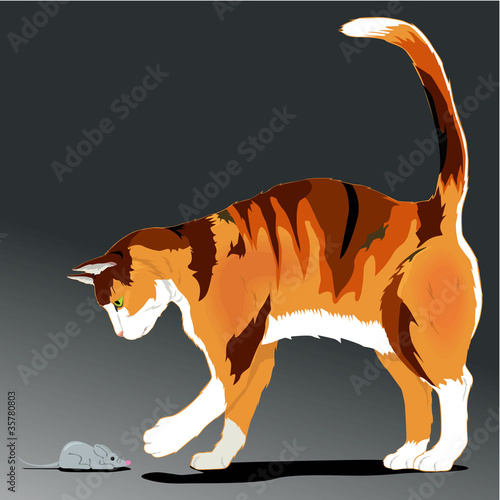 Illustration of very fat cat hunts on a mouse