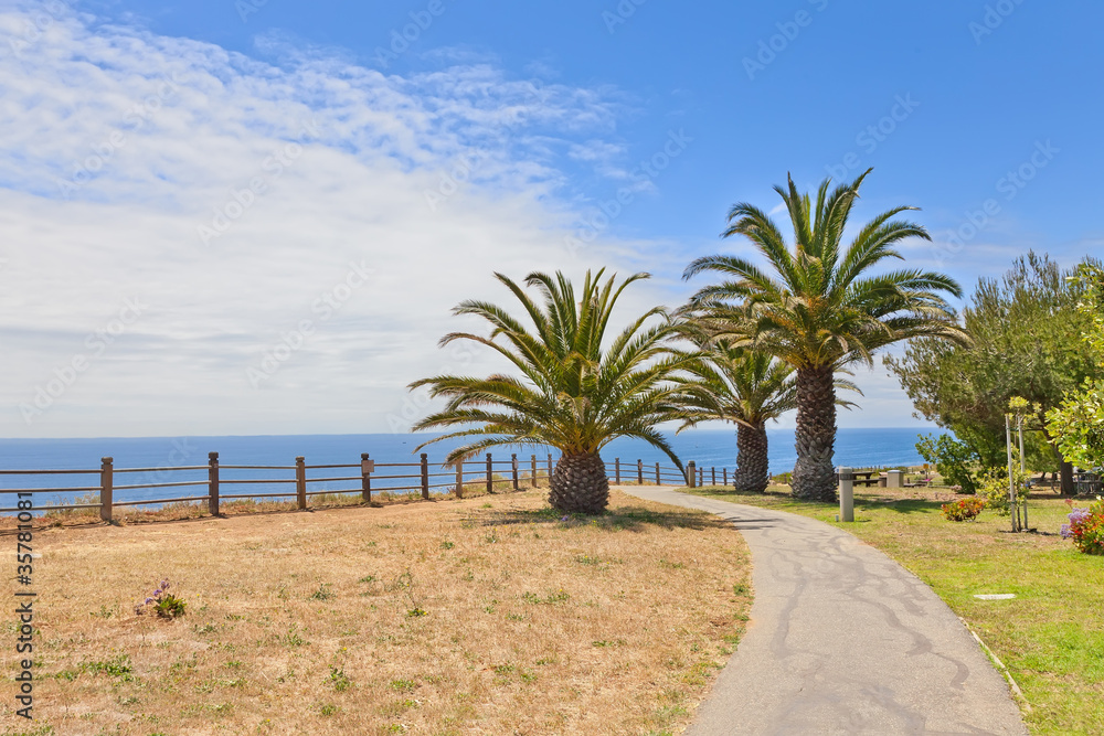 Fototapeta premium Walkway with palm trees