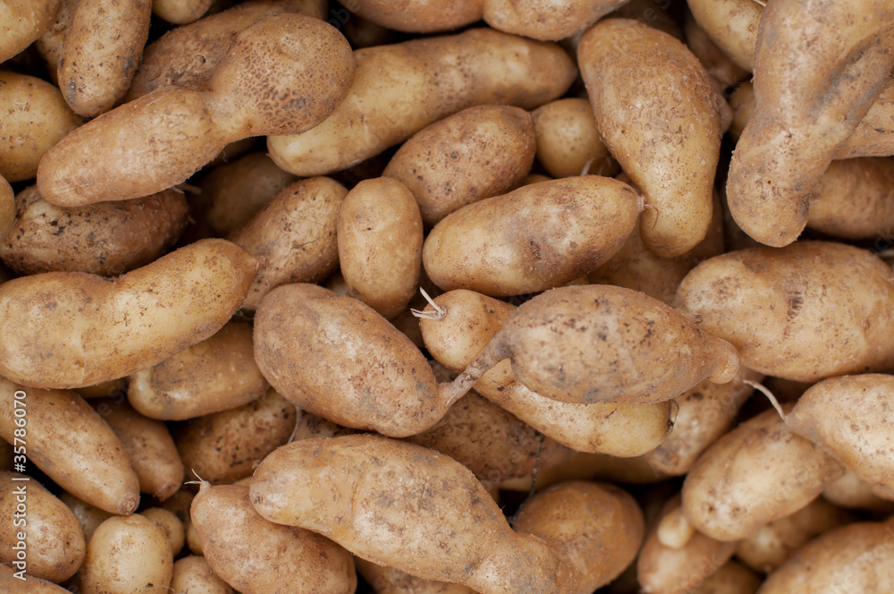 Fresh potatoes at a farmers market Fresh potatoes at a farmers market