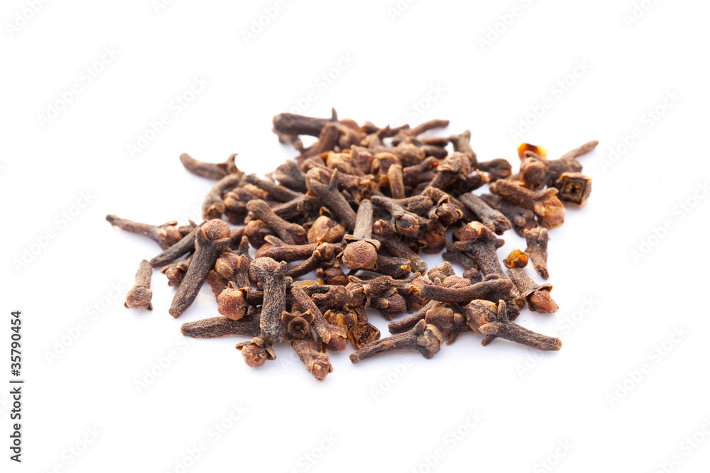 Obraz premium Nelken