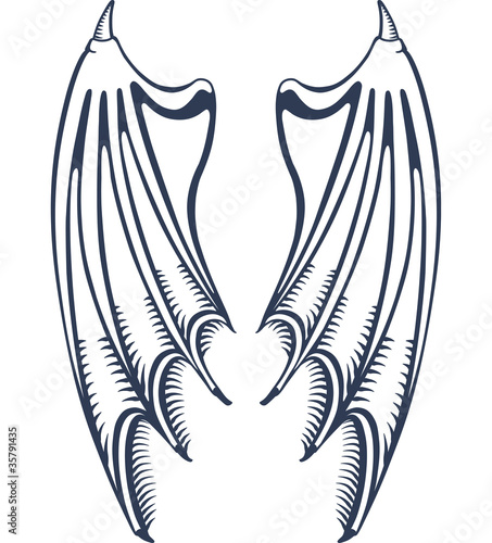 Devil's wings