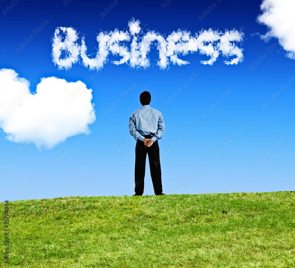 Businessman looking at a business cloud Businessman looking at a business cloud