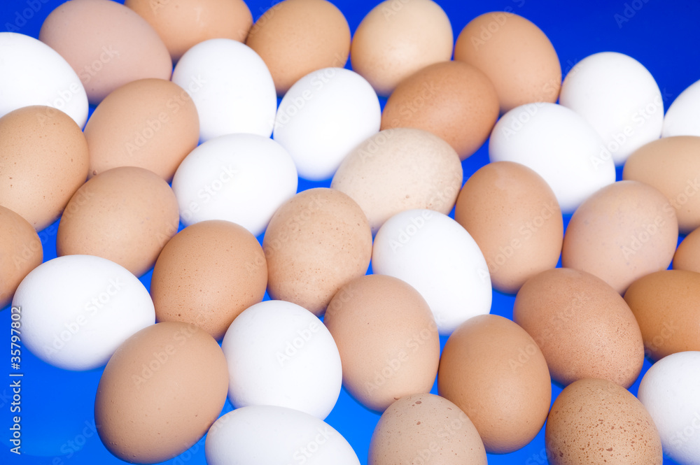 Eggs Eggs
