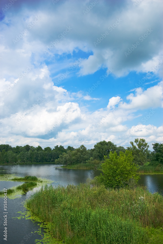 Forest lake