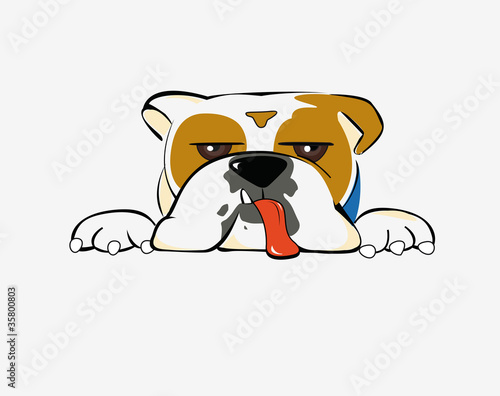 Bulldog ilustración