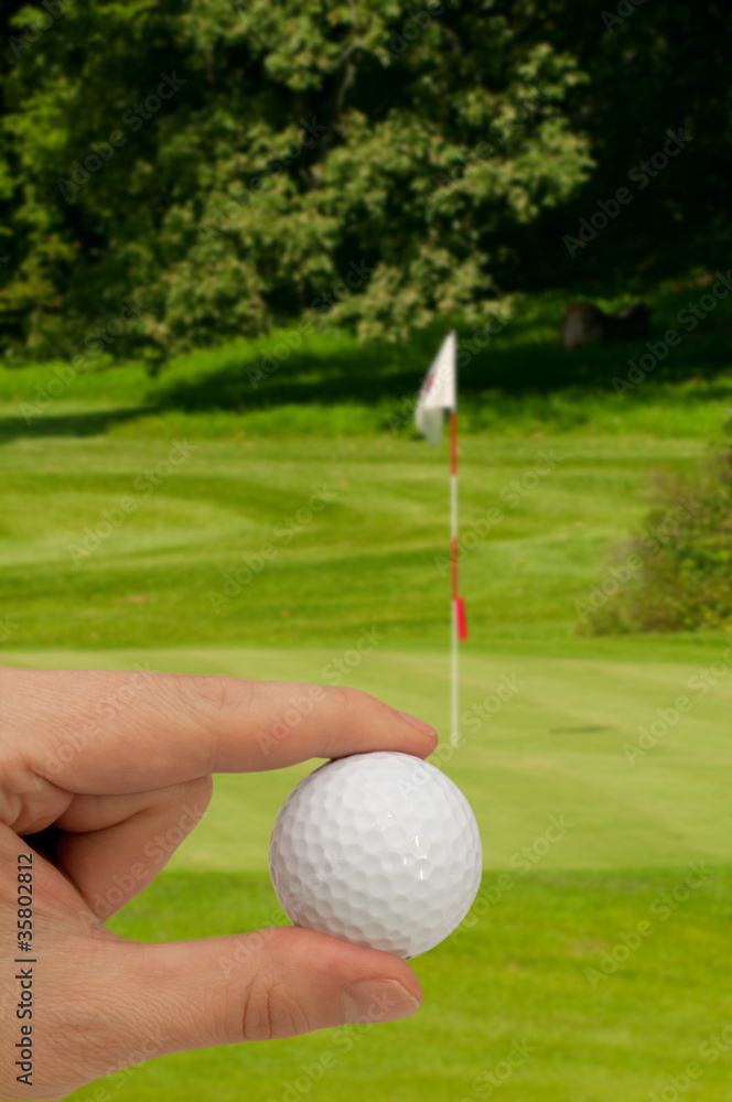 Obraz premium Hand With Golf Ball