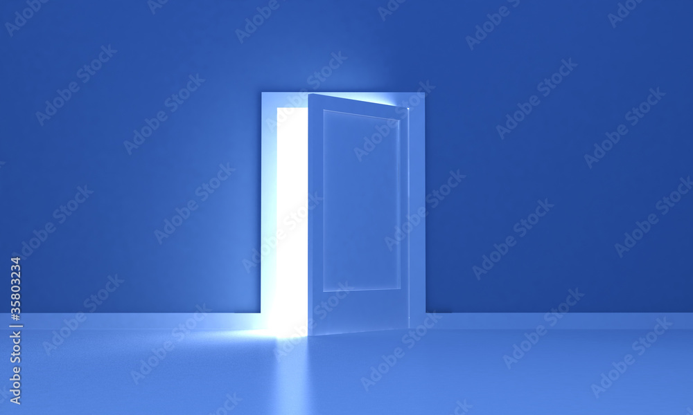 The door The door