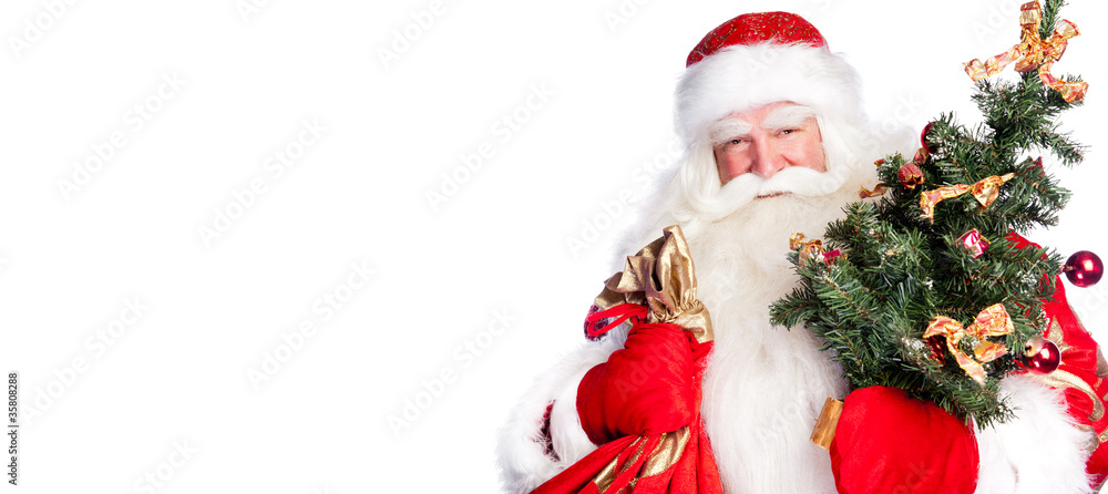 Christmas theme: Santa Claus holding christmas tree and his bag Christmas theme: Santa Claus holding christmas tree and his bag