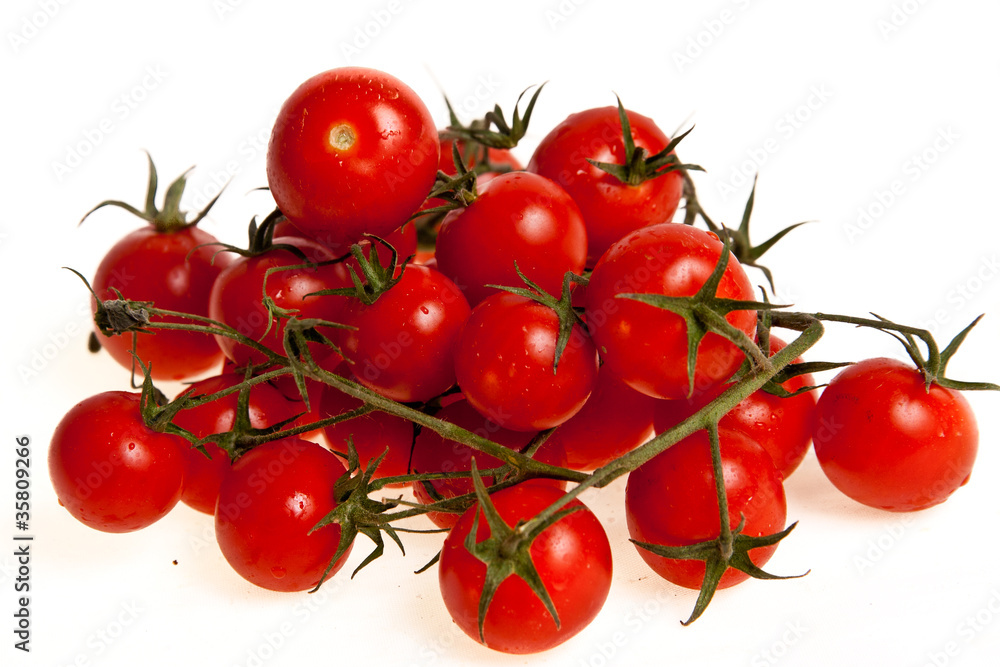 Tomatos Tomatos