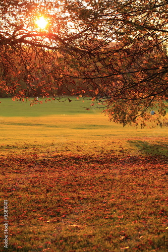 Autumn