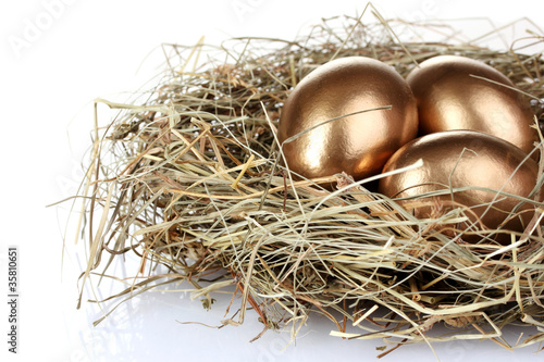 golden eggs in nest isolated on white