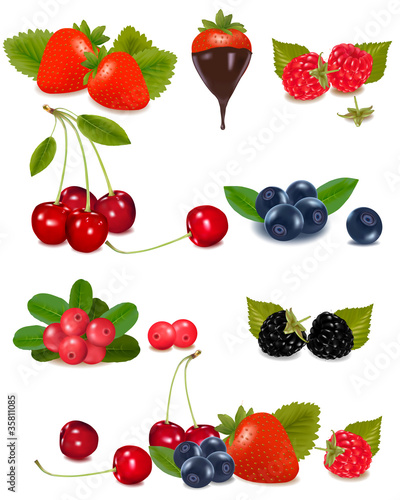 Group of berries and cherries. Vector.