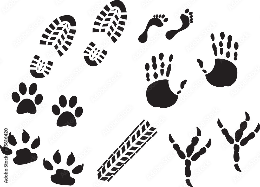 imprint imprint