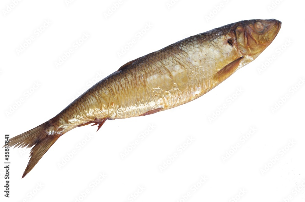 smoked bloater smoked bloater
