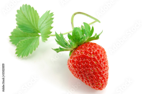 strawberry isolated on white background