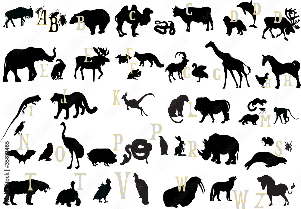 black animals alphabet