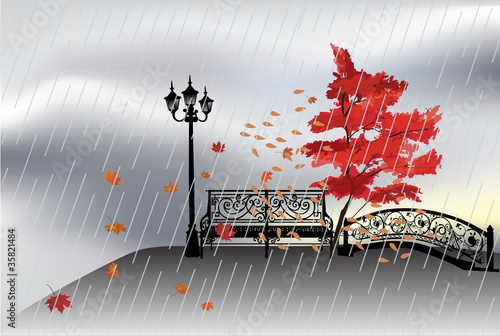 bench and autumn tree under rain