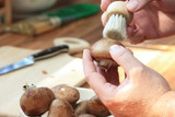 Pilze putzen - Cleaning mushrooms