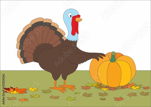 Thanksgiving fat turkey with huge pumpkin