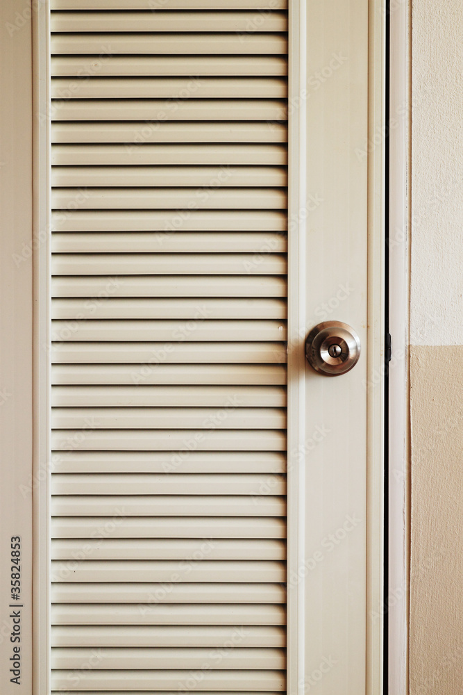 Fototapeta premium The door