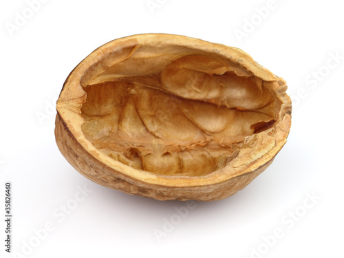 Shell of walnut