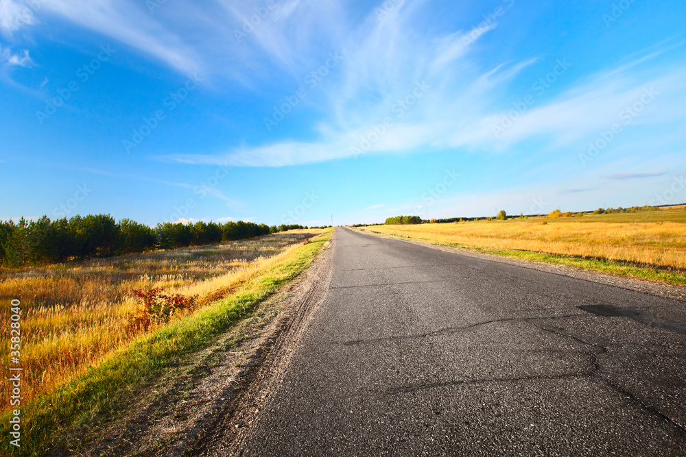 Fototapeta premium Road