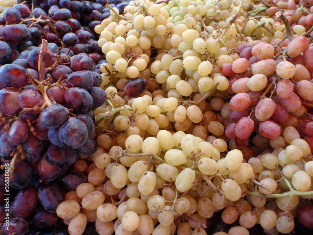 Cluster of 3 colors of grapes on open air for sale at an open ma Cluster of 3 colors of grapes on open air for sale at an open ma