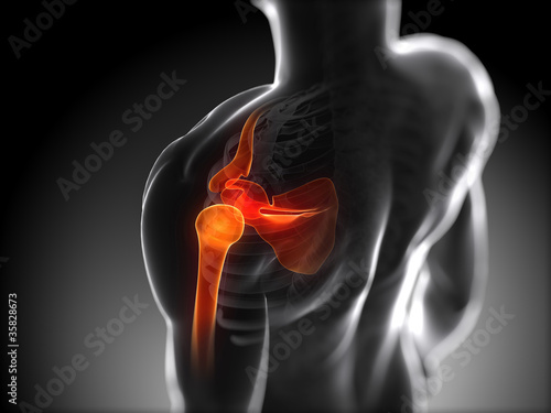Foto 3d rendered anatomy illustration - painful shoulder
