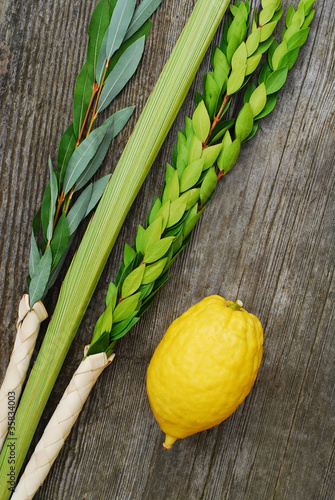 Lulav and Etrog