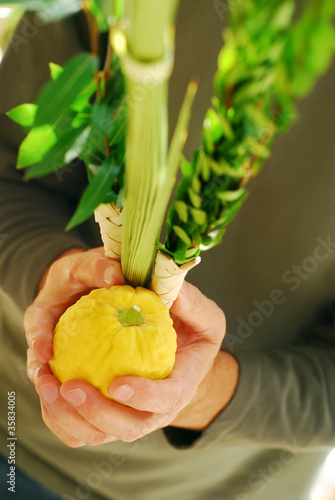 Tapety artystyczne Shaking the Lulav