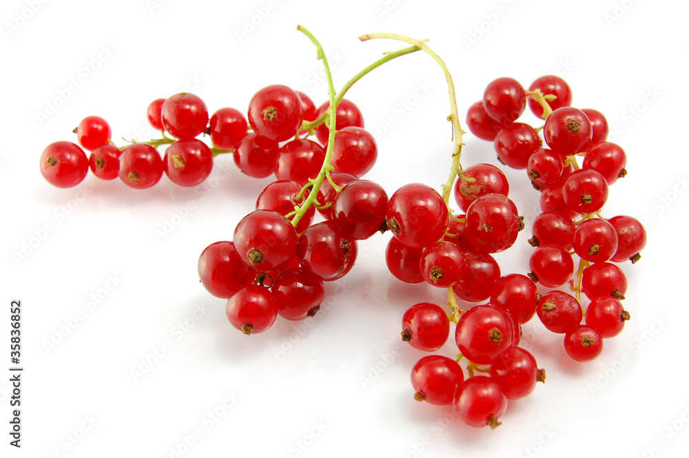 Isolated red currant