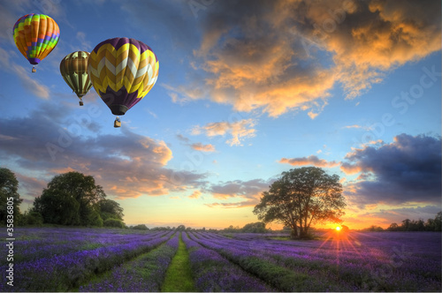Hot air balloons flying over lavender landscape sunset