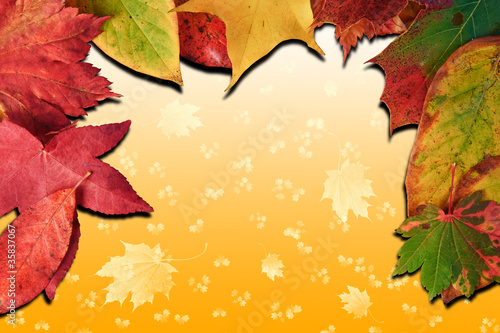 Vibrant Autumn Fall Season leaves on faded gradient background