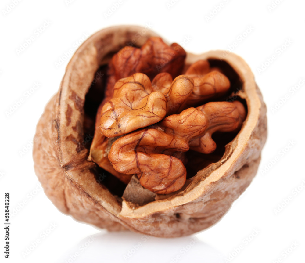 tasty walnuts isolated on white tasty walnuts isolated on white