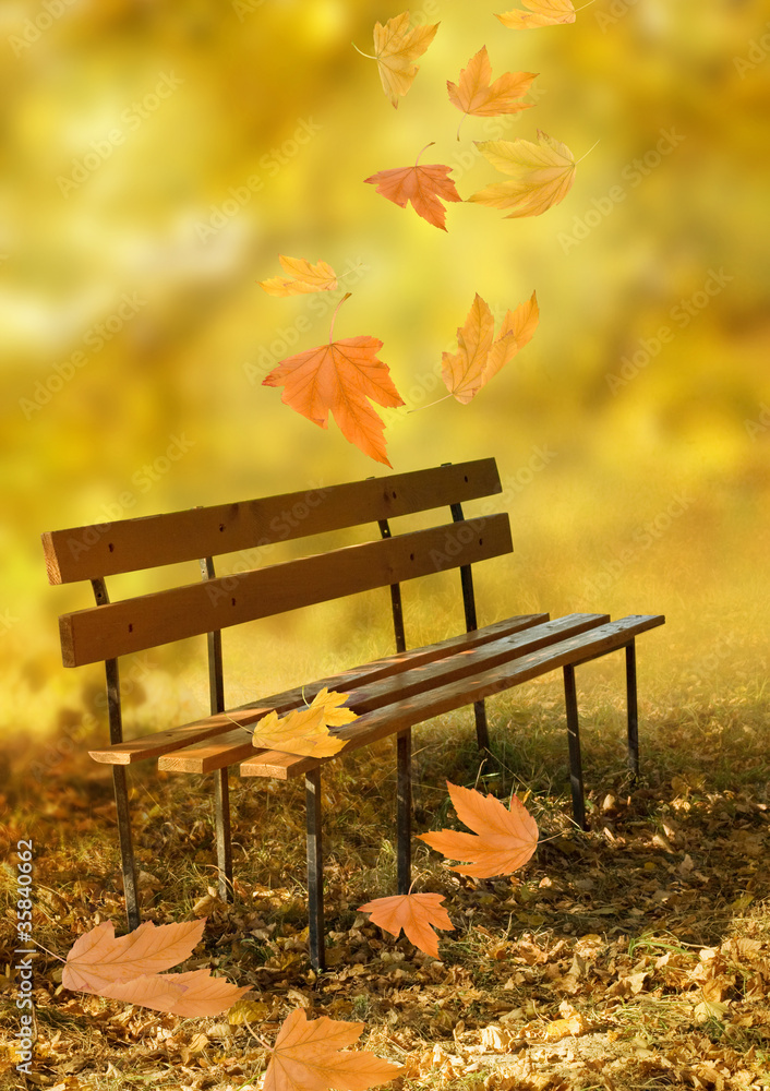 Naklejka premium Empty wooden bench in the city park