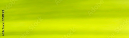 Green Banner