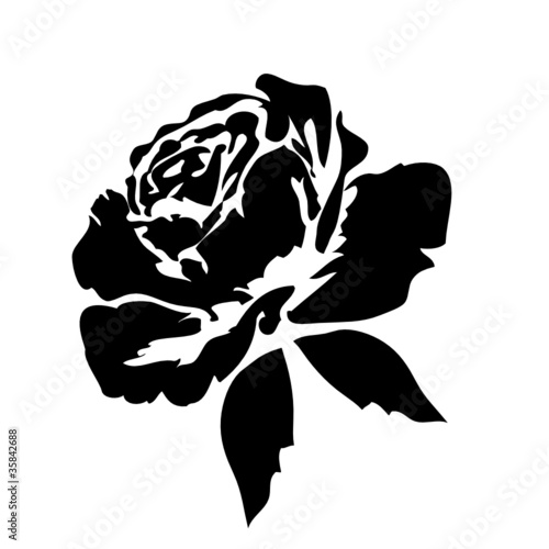 Black Rose