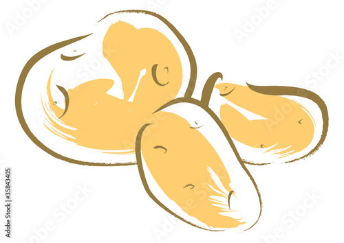 ジャガイモ　potato
