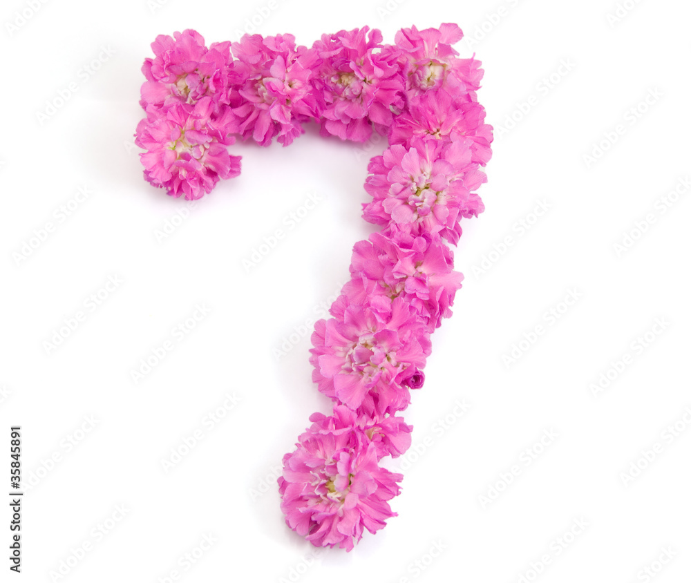 The number seven from flowers The number seven from flowers