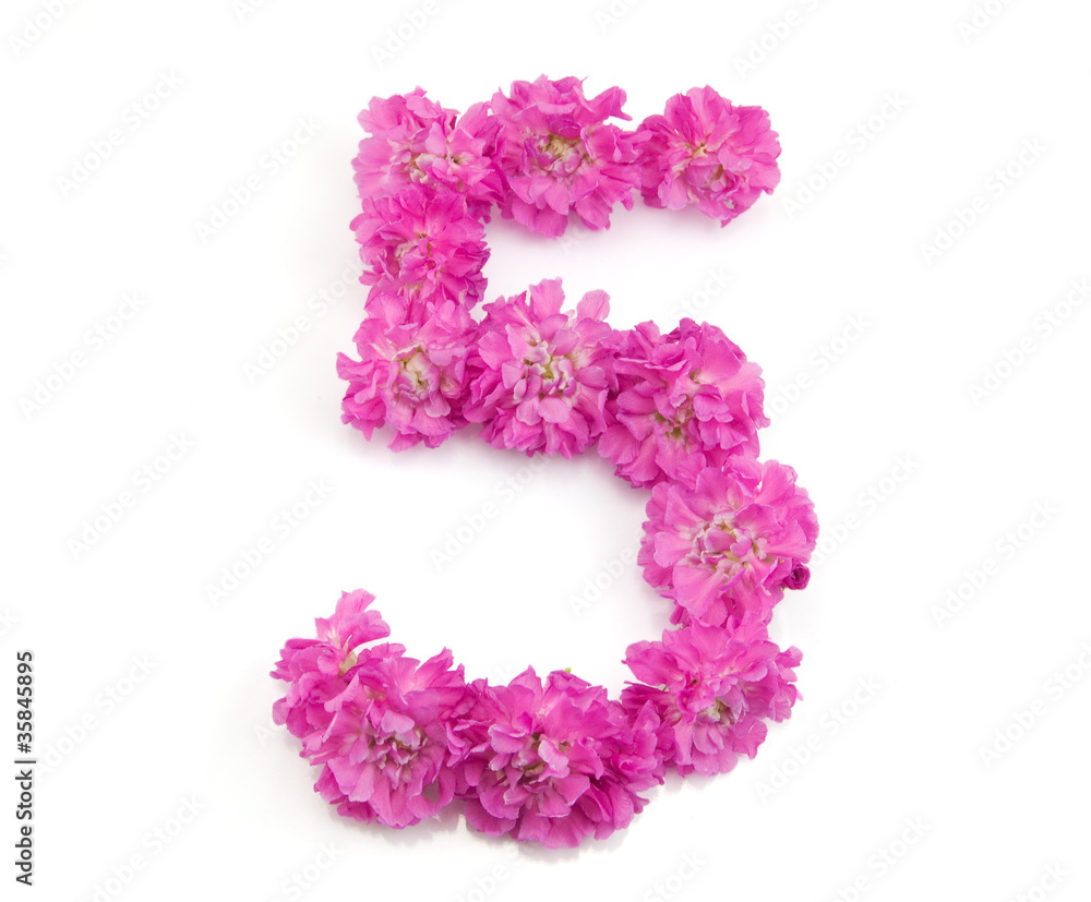 The number  five from flowers