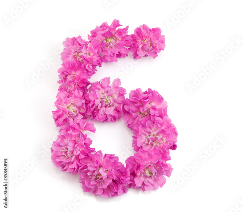 The number six from flowers